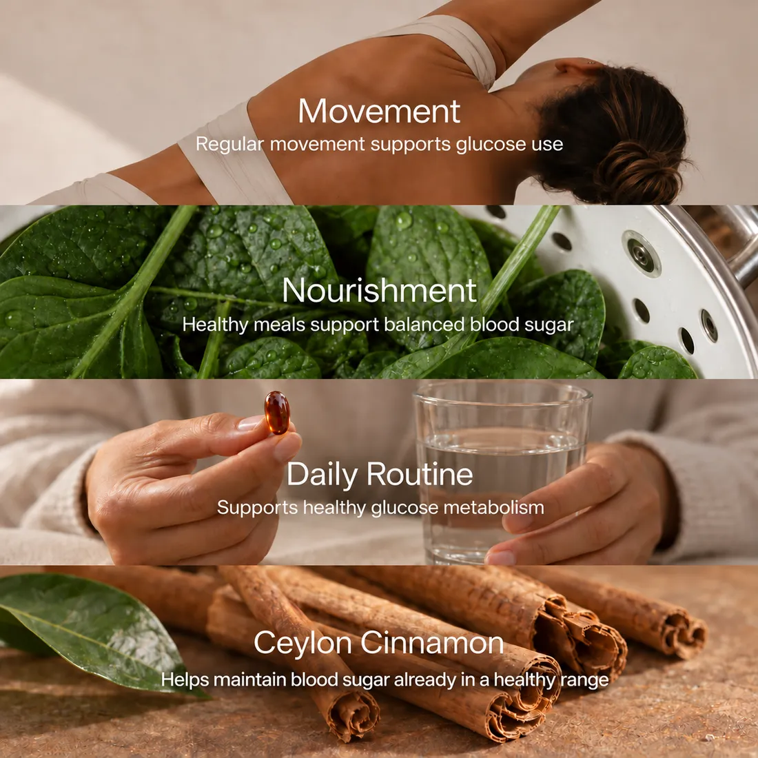 Support healthy blood sugar and glucose use